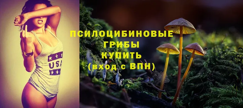 Галлюциногенные грибы Cubensis  Десногорск 