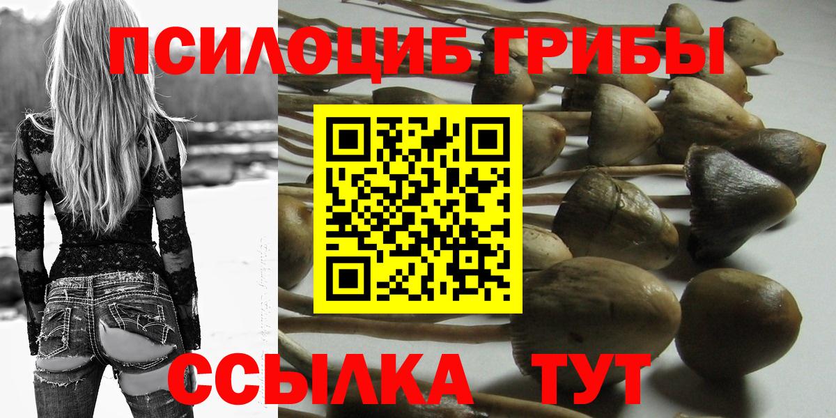 Псилоцибиновые грибы GOLDEN TEACHER  Псилоцибиновые грибы мухоморы  Десногорск  Вход с VPN 