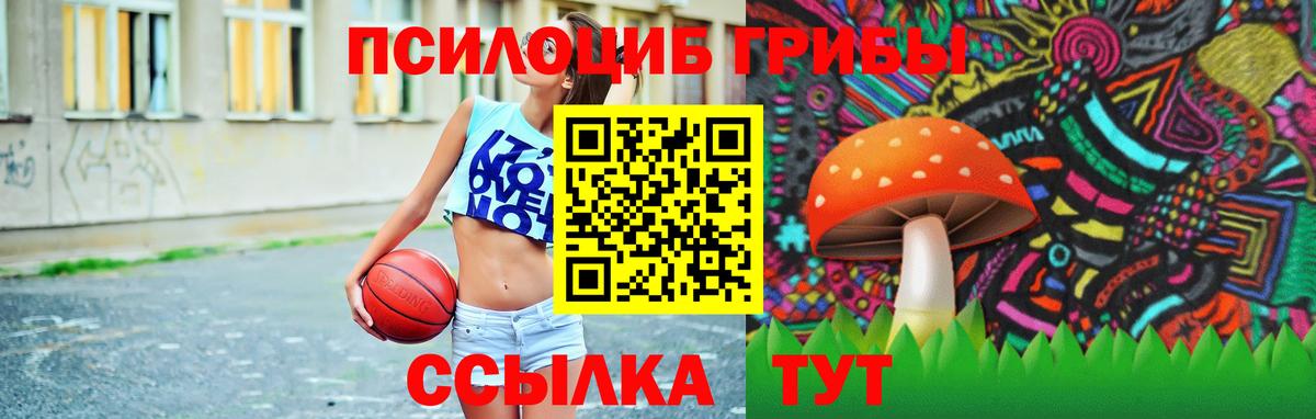 Галлюциногенные грибы MAGIC MUSHROOMS Десногорск